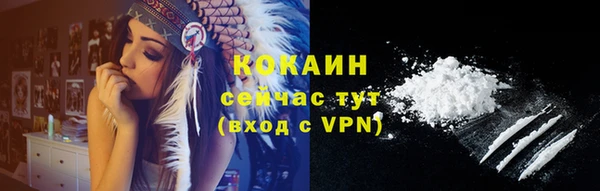 apvp Горнозаводск