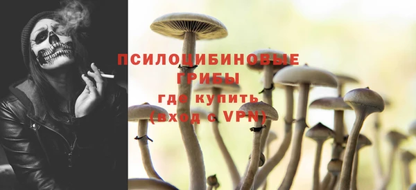 apvp Горнозаводск