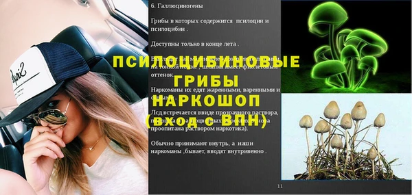 apvp Горнозаводск