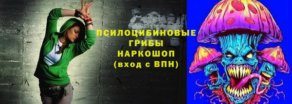 apvp Горнозаводск