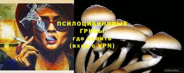 стафф Горно-Алтайск
